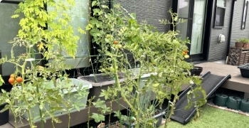 裏庭やベランダ